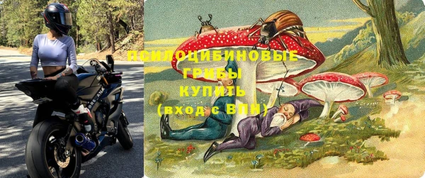 mix Белокуриха