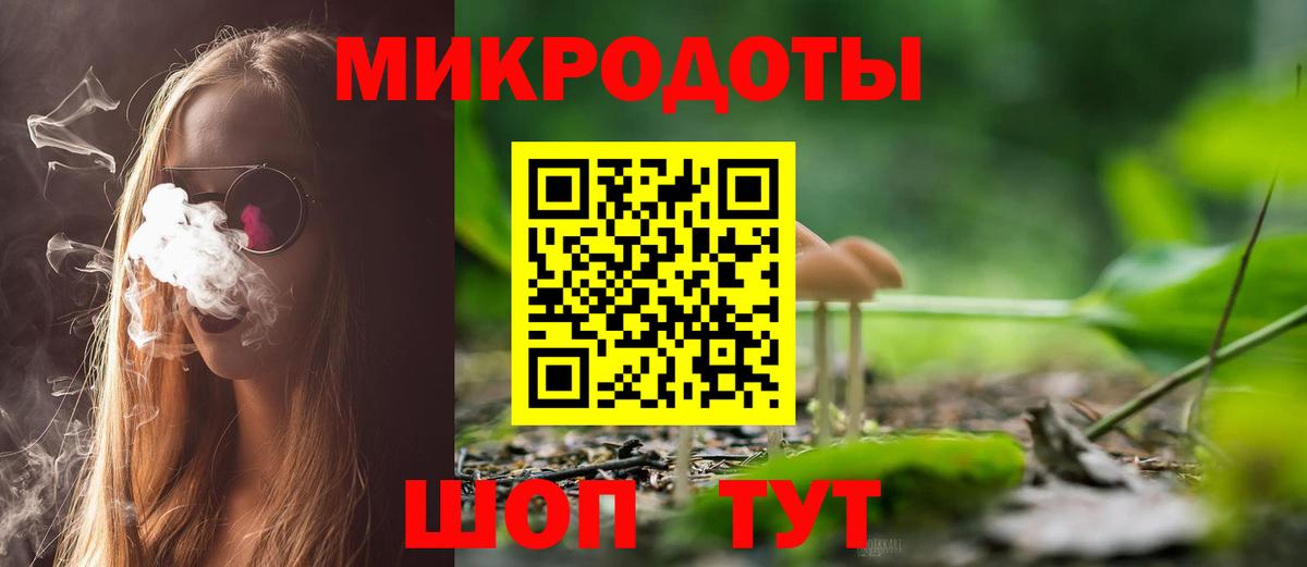 Галлюциногенные грибы мухоморы Большой Камень